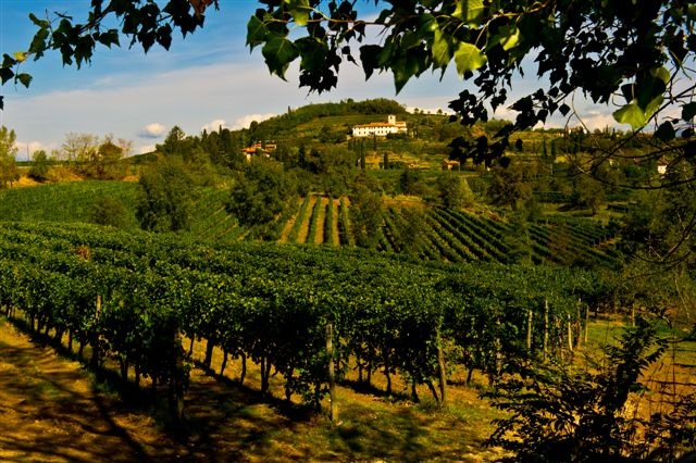 Collavini vyd